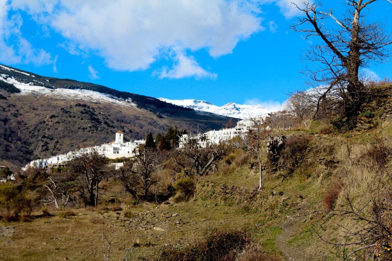 "Casa Ibero" Bubion, Alojamiento Turistico Rural المظهر الخارجي الصورة
