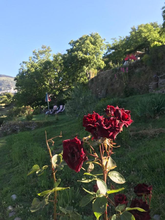 "Casa Ibero" Bubion, Alojamiento Turistico Rural المظهر الخارجي الصورة